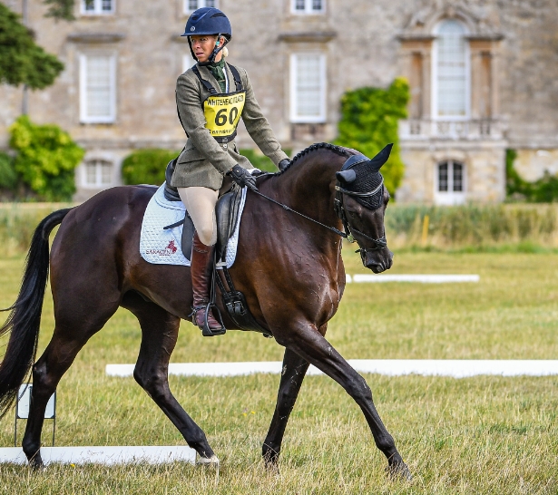 eventing dressage