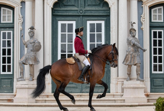 european equestrian academy
