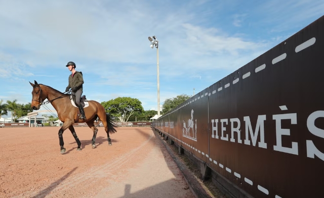 equestrian roots