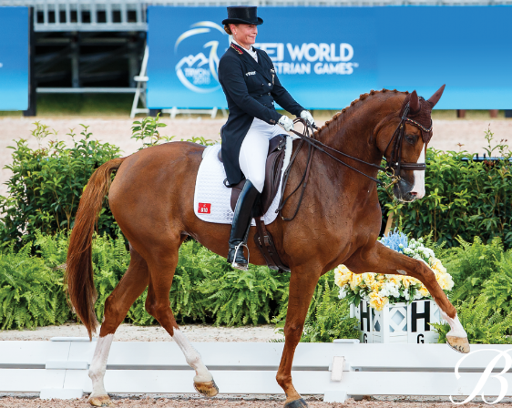 equestrian
