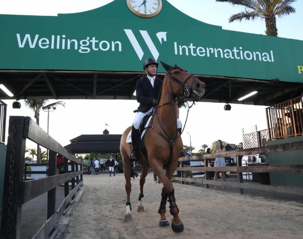 equestrian sport production