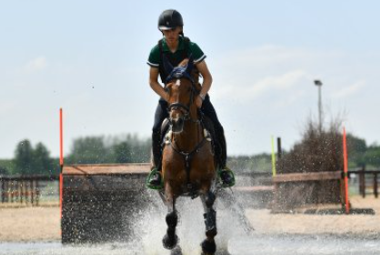 greenogue equestrian