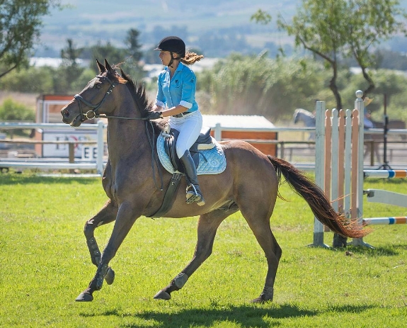 europa equestrian