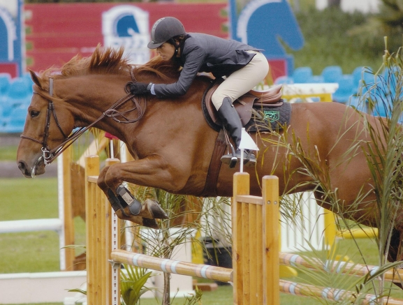 equestrian pro