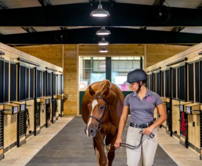 equestrian stable
