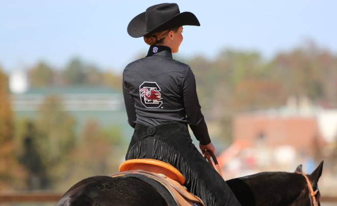 gamecock equestrian