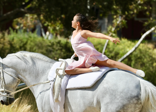 equestrian vaulting near me