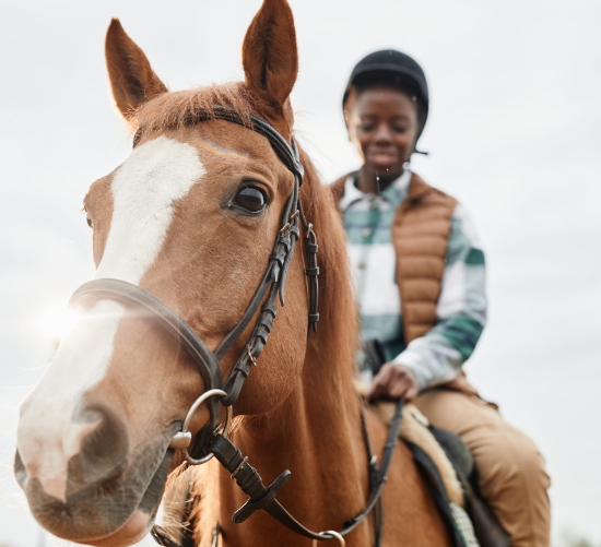 essential equestrian