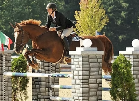 greenfield equestrian