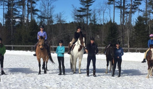 fox hill equestrian