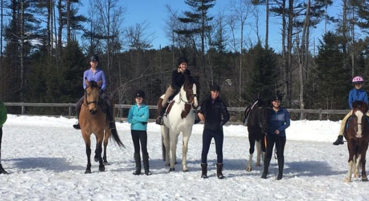 fox hill equestrian center