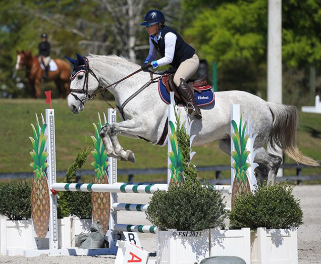hebel equestrian