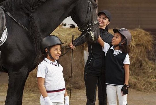 equinara horse sports harga
