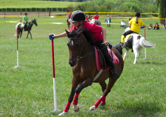gymkhana horse riding