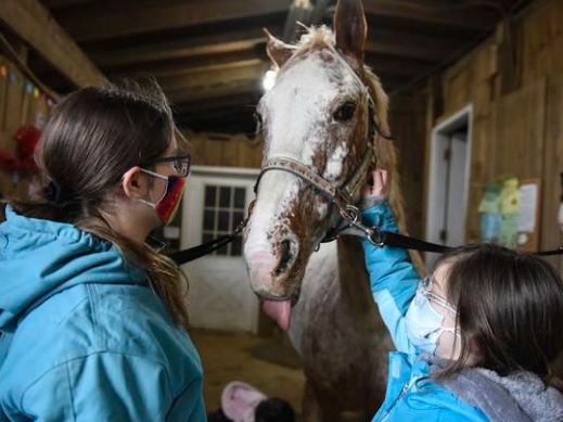 graystone equestrian center