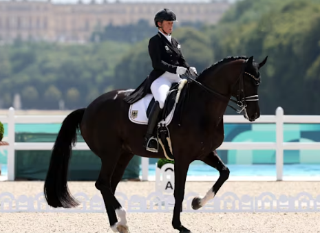 fbh equestrian center