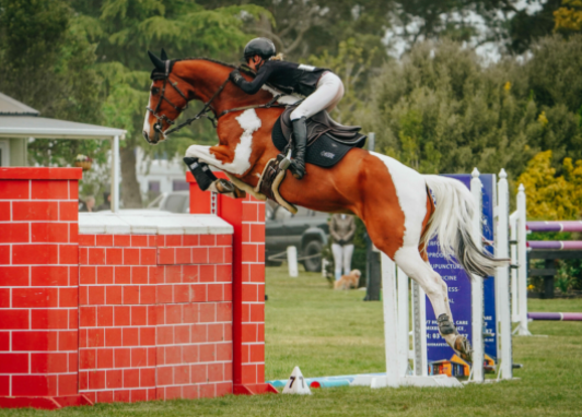 evo events equestrian