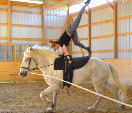 equine vaulting