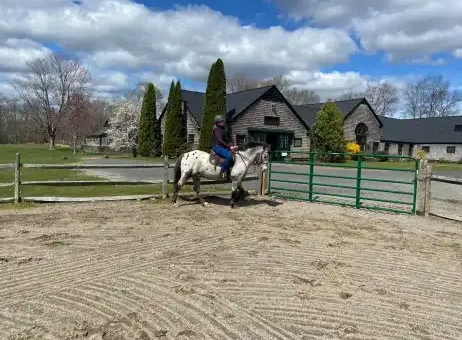 forest riding academy