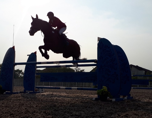 equinara horse sport