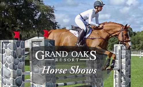 grand oaks equestrian