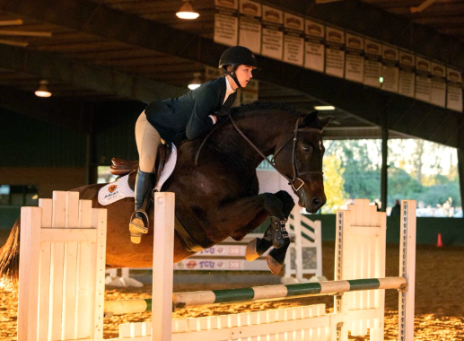 exhibition equestrian