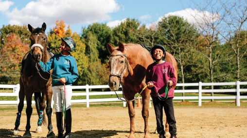 fieldstone equestrian