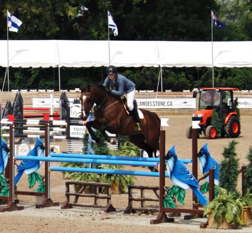 fairbanks equestrian