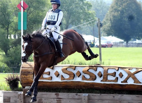 essex equestrian