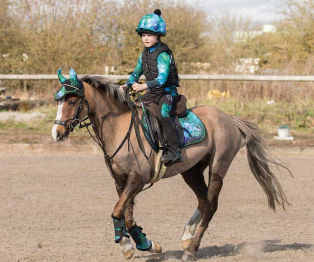 haute to trot equestrian