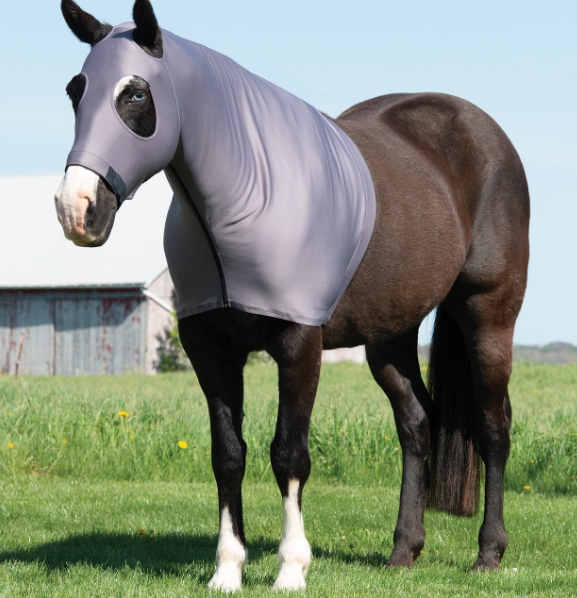 equine synergy