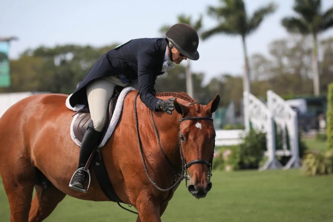 equitation horse riding
