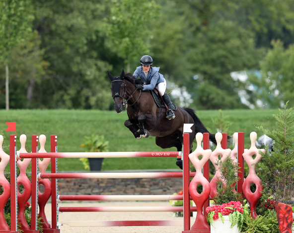 grand prix horse jumping