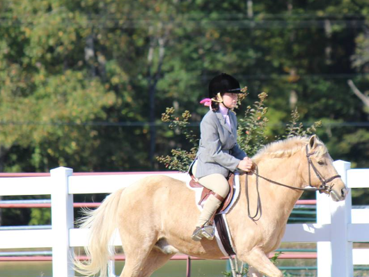 hanover heritage equestrian center