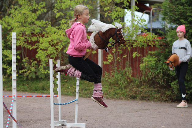 hobby horse show jumping