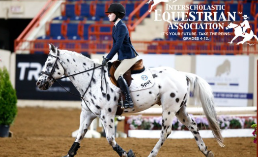 international equestrian association