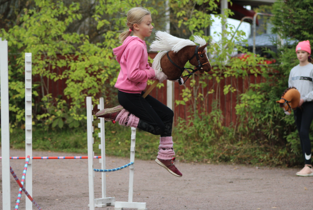 hobby horse equestrian