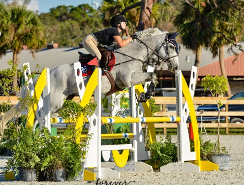 jem equestrian