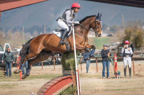 kingsway equestrian