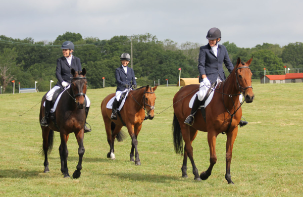 homelands equestrian