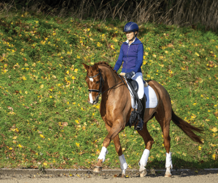 hot to trot equestrian