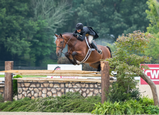 hunter equestrian