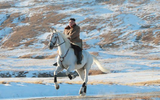 kims equestrian