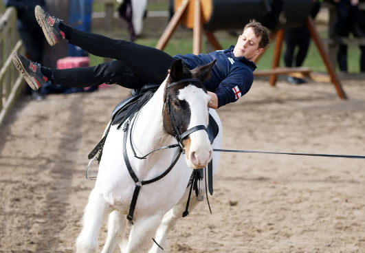 knights equestrian