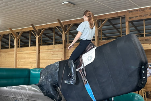 landsafe equestrian