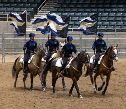 hs equestrian
