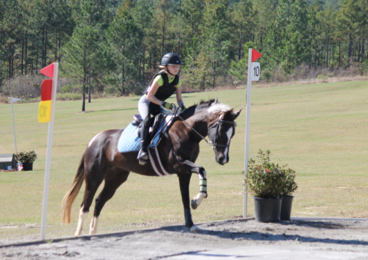 hunt view riding academy