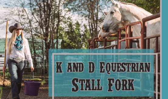 k&d equaestrian