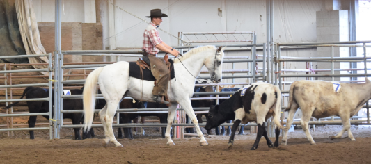 kenton wright equestrian