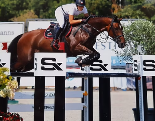 kw equestrian
